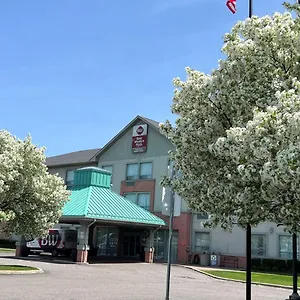 Hotel Best Western Plus Travel Airport, Toronto